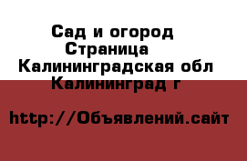  Сад и огород - Страница 3 . Калининградская обл.,Калининград г.